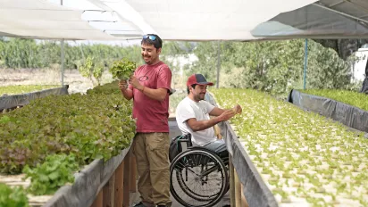 Farmer at work with his coworker (one of them on wheelchair) in a greenhouse