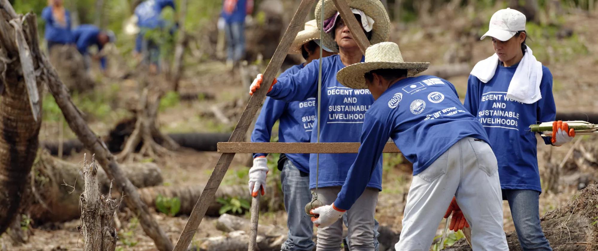 Workers in emergency employment rebuild after Super Typhoon Haiyan using the slope agriculture land technology to prevent soil erosion.