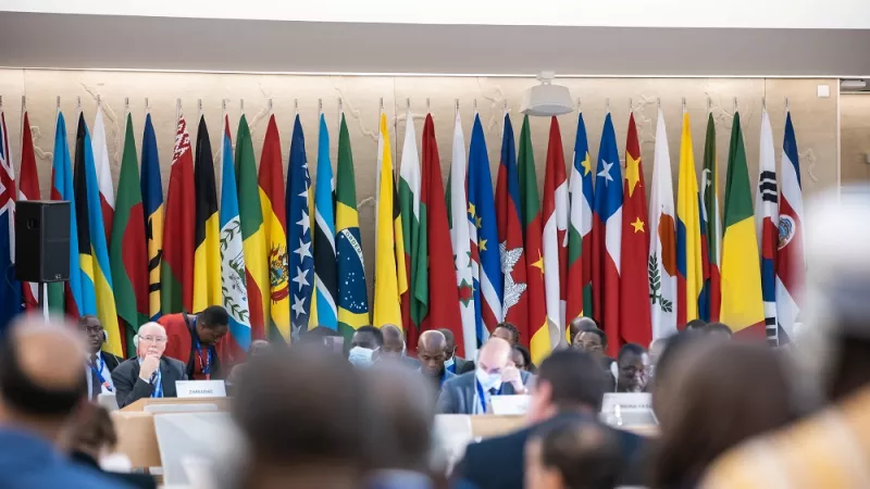 A wall of different national flags in a meeting room of the International Labour Conference 