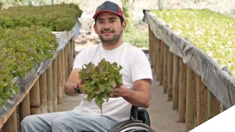 man in a wheelchair holding produce